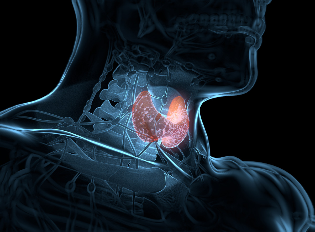 Thyroid Health - Causes, Symptoms, and Treatment Options