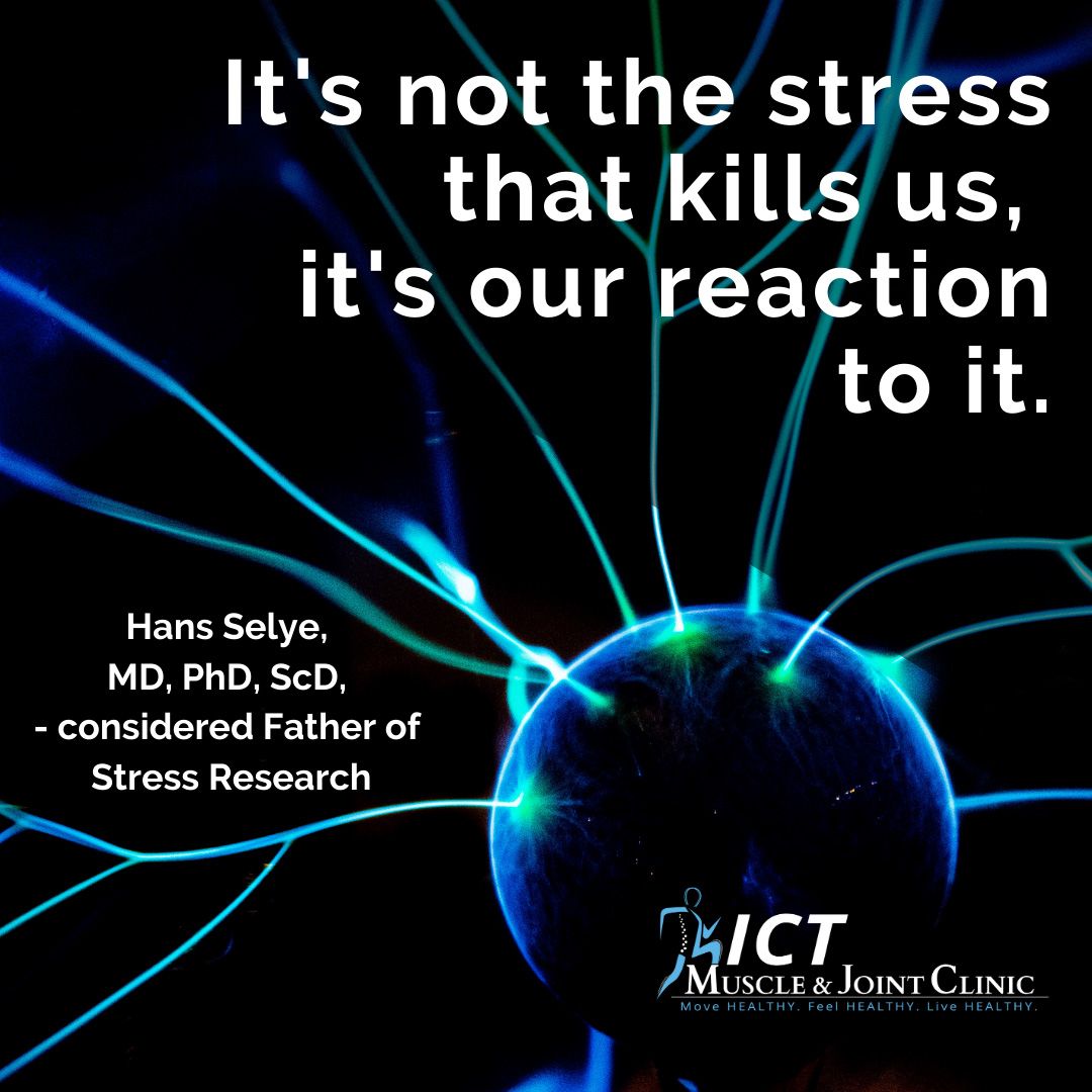 graphic showing quote from Dr Seyle, "It's not the stress that kills us, it's our reaction to it."